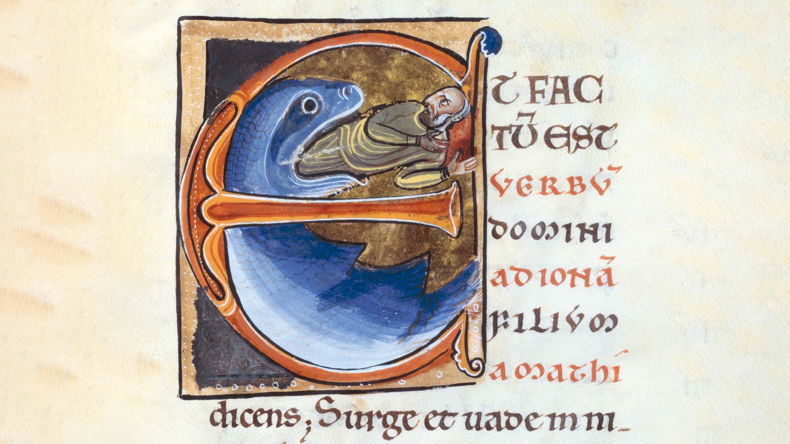 Die Initiale „E“ mit Jona und dem Wal in einer Bibelhandschrift aus dem 12. Jahrhundert