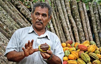 Widersprüchliche Förderung in Nicaragua: Deutsche Entwicklungshilfe fließt in eine Palmölplantage, die die angrenzenden Bio-Kakao-Bauern beeinträchtigt. Auch sie erhalten Geld aus Deutschland. Foto: epd/Matthias Knecht